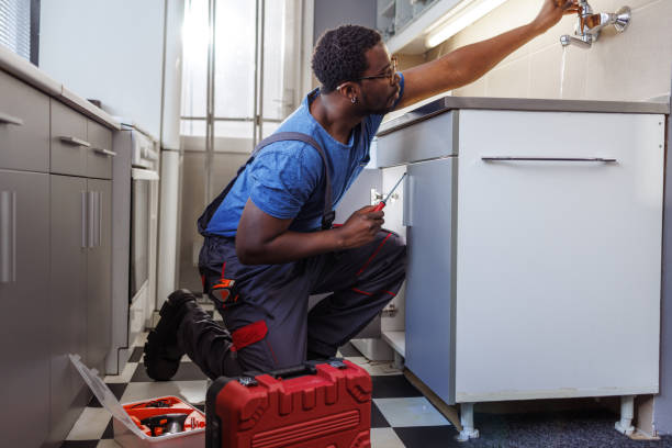 Best Clogged Drain Plumber  in O, MI